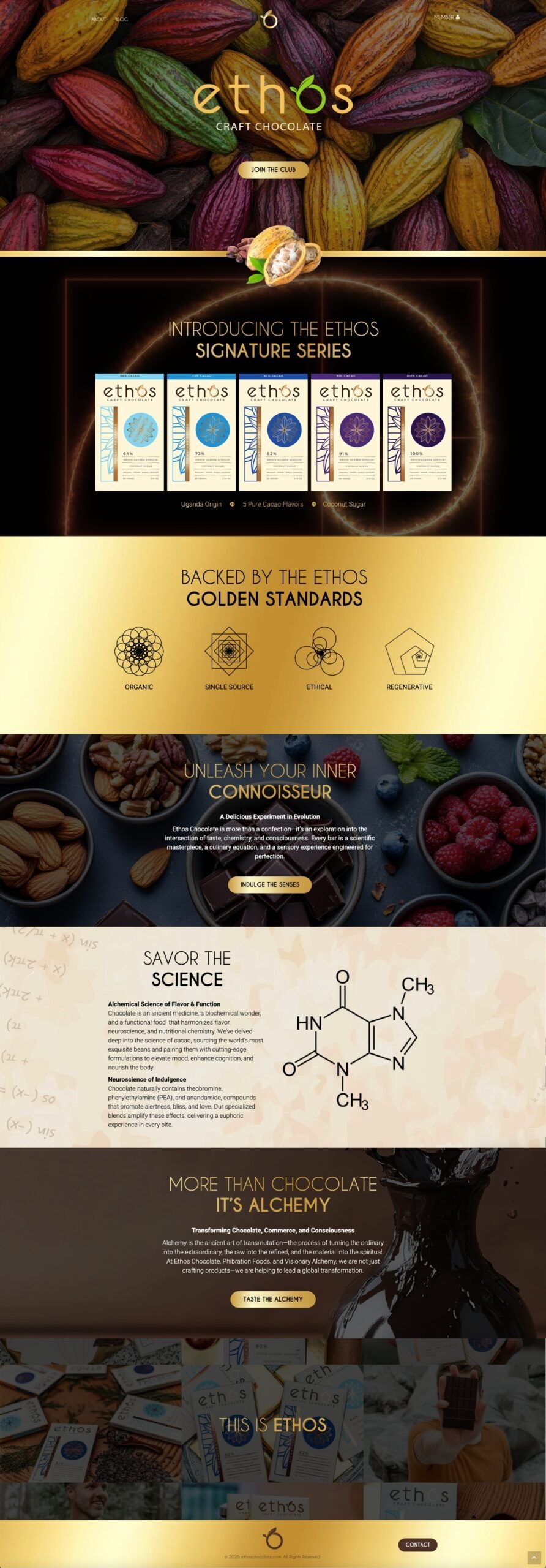 Desktop Web Build Showcase